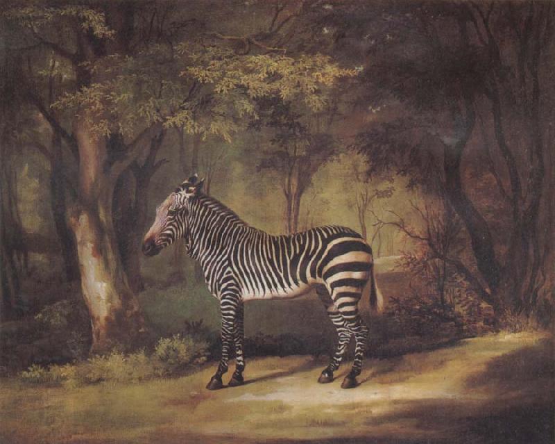 George Stubbs A Zebra China oil painting art